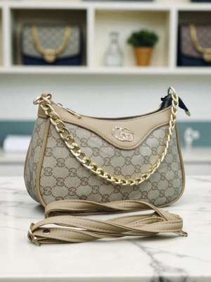 Gucci carry Skin